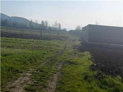 De la 8000 euro la 6000 euro !!! Teren in com Oituz la maxim 15 minute de Onesti cu acte 8000 EURO . Doua drumuri de acces .