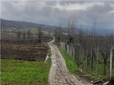VANDUT !!! Teren 4900 euro, 2800 mp, 7 m deschidere la max 5 minute de primaria Onesti