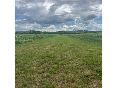 Teren agricol in Onesti 1 euro/mp . Are cadastru pe 2800 mp, deschidere de 7 m
