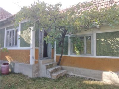 Casa din lemn in Mânăstirea Cașin